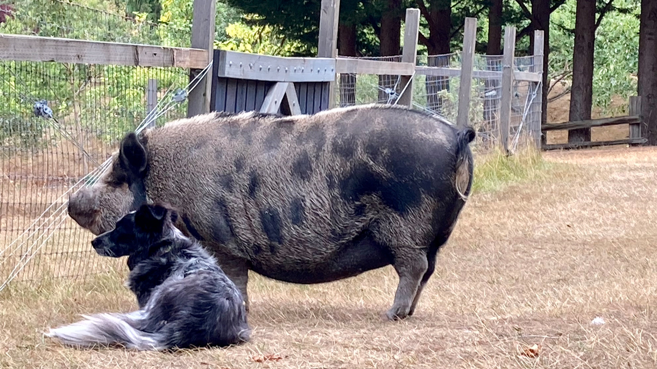 rosie and audrey